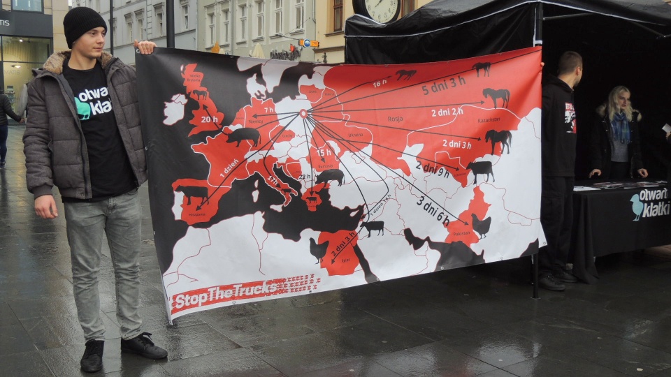 Działacze z Bydgoszczy przyłączyli się do ogólnopolskiej kampanii StopTheTrucks. Fot. Tatiana Adonis