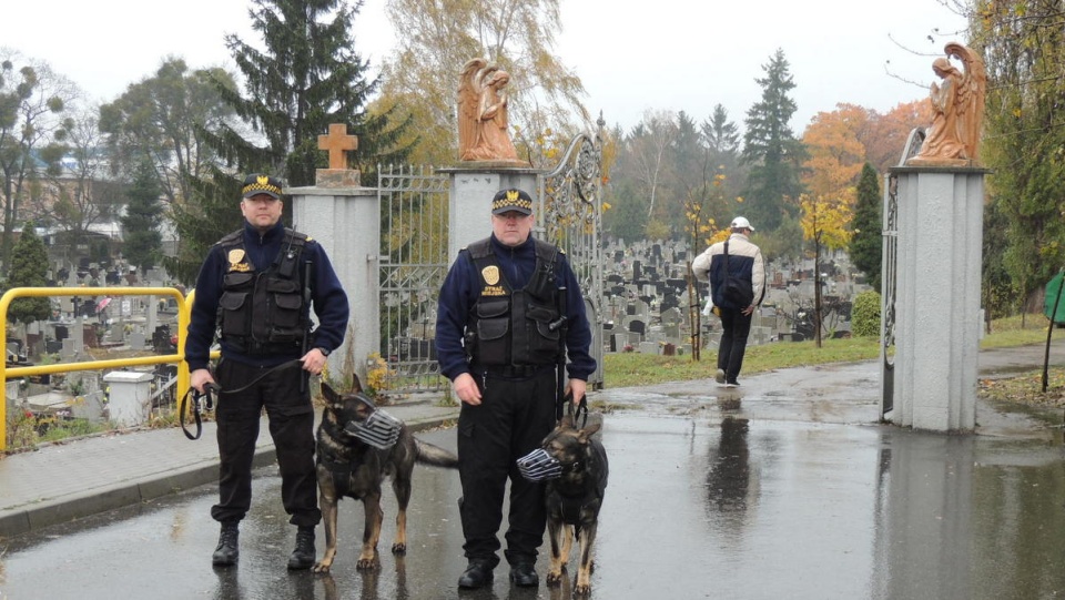 Patrol Straży Miejskiej przy na cmentarzu przy ul. Ludwikowo w Bydgoszczy. Fot. archiwum PR PiK