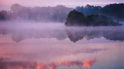 Wioletta Pilarz - "Refleksy". Fot. nadesłane