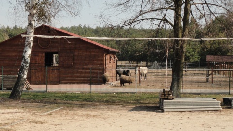 W obiekcie mogą być prowadzone zajęcia edukacyjne i rekreacyjne. Fot. Sławomir Kukiełczyński