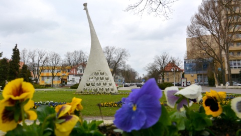 Skwer przed Zakładem Przyrodoleczniczym zapełnił się żółtymi, niebieskimi i białymi bratkami. Fot. UM w Inowrocławiu