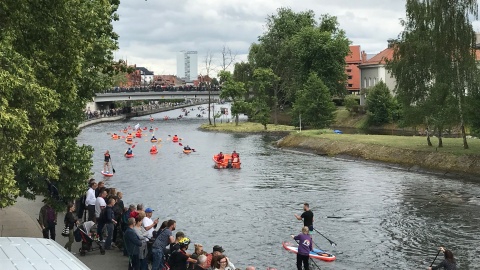 Ster na Bydgoszcz 2017. Fot. Tomasz Kaźmierski