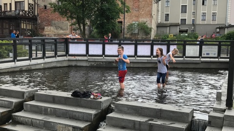 Ster na Bydgoszcz 2017. Fot. Tomasz Kaźmierski