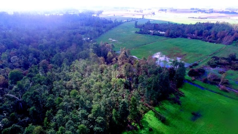 Pola i domy zalewane wodą z Krówki - zdjęcia wykonane za pomocą drona. Fot. Aviation Technik, sp. z o. o.