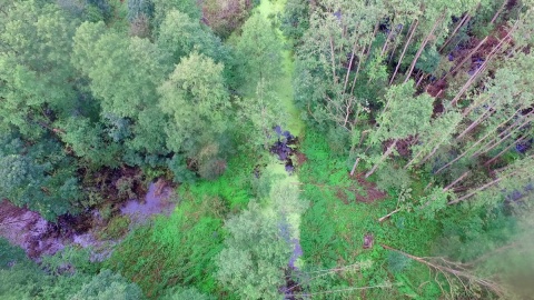 Pola i domy zalewane wodą z Krówki - zdjęcia wykonane za pomocą drona. Fot. Aviation Technik, sp. z o. o.