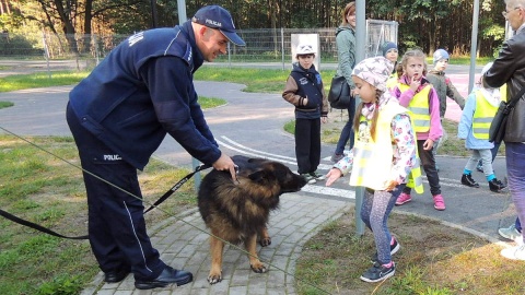 W bydgoskim Myślęcinku rozpoczęły się warsztaty, podczas których dzieci uczą się zasad bezpieczeństwa. Fot. Damian Klich