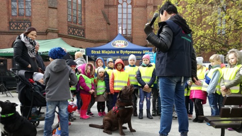 Posprzątaj po swoim psie - akcja bydgoskich strażników miejskich