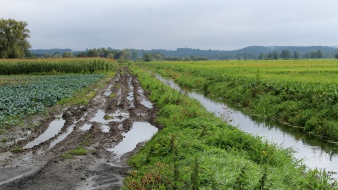 Podtopione pola w gminie Unisław