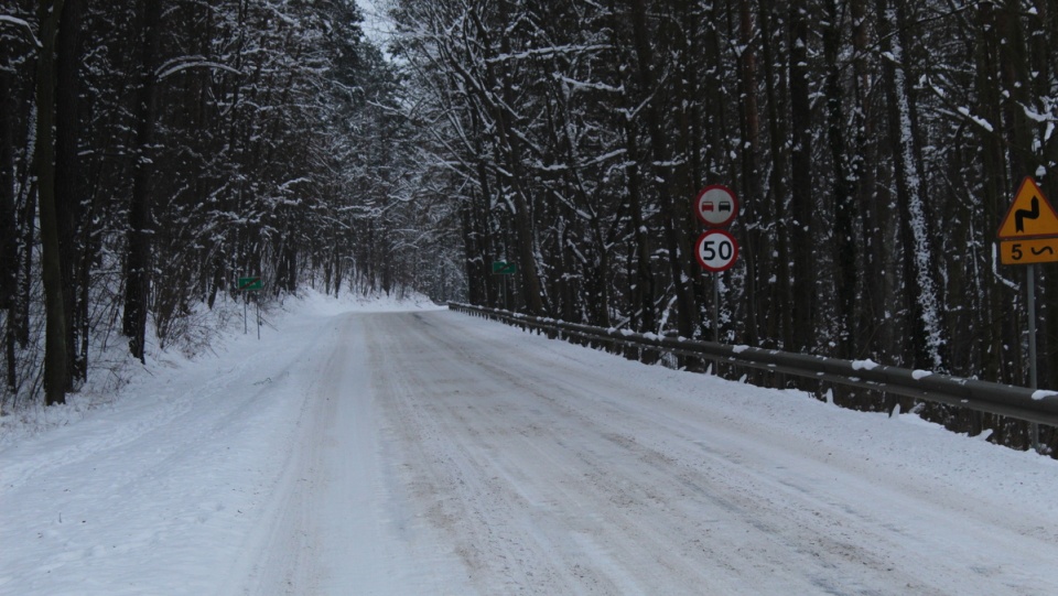 Tak wygląda droga powiatowa Krąplewice - Osie - Tleń. Fot. Marcin Doliński.