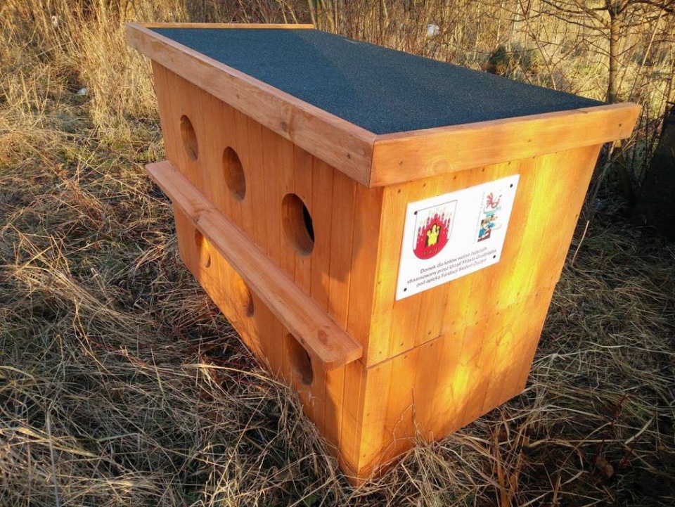 Budki dla kotów umieszczono przy Alei 23 Stycznia, ul. Kościuszki i na osiedlu Strzemięcin. Fot. grudziadz.pl