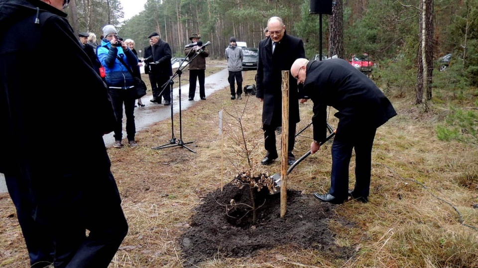 Posadzeniem "dębu pamięci" księdza Stanisława Mocnego w Trzcińcu, uczczono kapelana Armii Krajowej związanego z oddziałem "Zemsta". Fot. Damian Klich