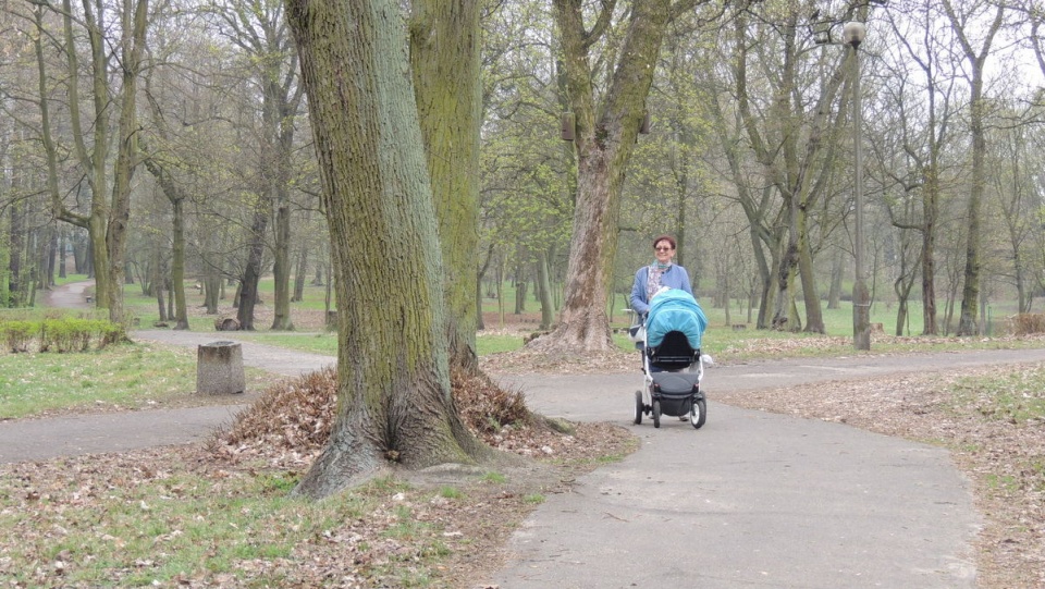 Park Tysiąclecia w Toruniu figuruje na liście zabytków. Fot. Michał Zaręba