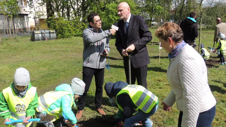 Prezydent Torunia Michał Zaleski sadzi drzewo w Parku Tysiąclecia. Fot. Michał Zaręba