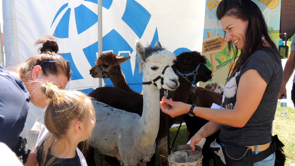 Piknik naukowo-rodzinny wieńczy tegoroczna edycję Bydgoskiego Festiwalu Nauki. Fot. Damian Klich