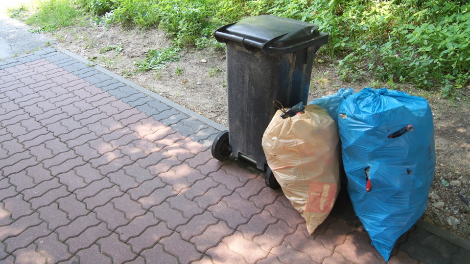 Bydgoszczanie nie zgodzili się na uzależnienie opłat za wywóz śmieci od wielkości mieszkania. Fot. Archiwum/Henryk Żyłkowski