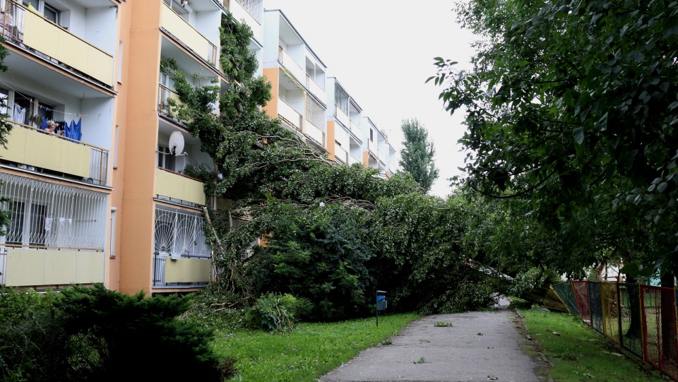 Skutki nawałnicy nad Bydgoszczą. Fot. Janusz Wiertel