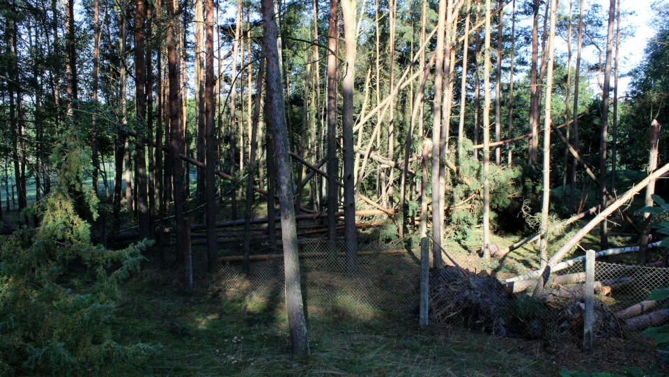 Zniszczenia na terenie ośrodka w Okoninach Nadjeziornych. Fot. Marcin Doliński