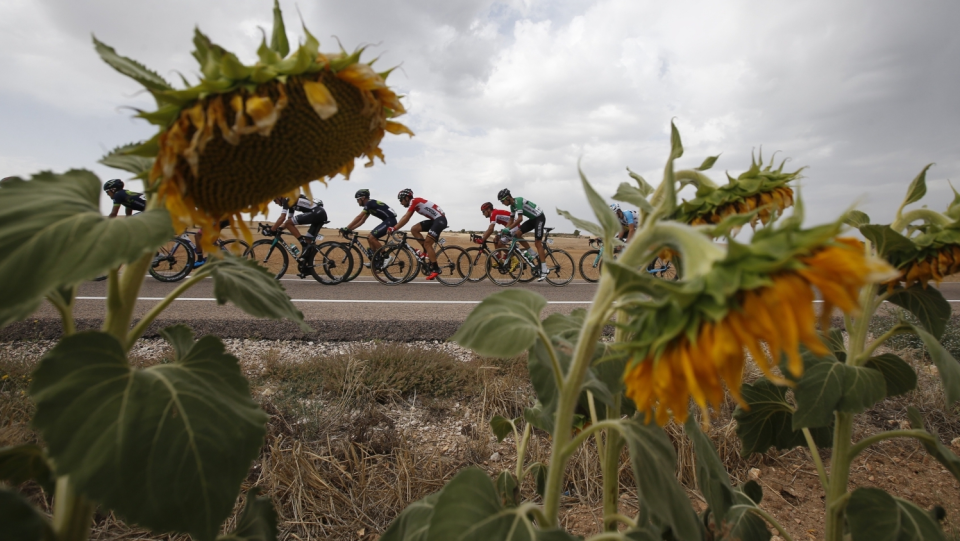 Zdjęcie z 7. etapu kolarskiej Vuelta a Espana 2017. Fot. PAP/EPA/JAVIER LIZON