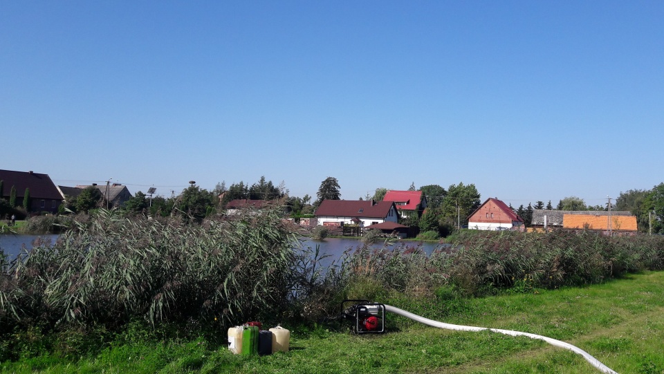 Przez ostatnie dwa dni strażacy-ochotnicy z gminy Koronowo wypompowywali wodę ze stawu w podbydgoskim Tryszczynie. Fot. Tatiana Adonis