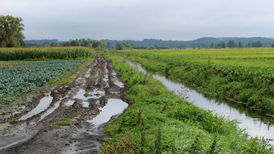 Woda, która zalała pola w gminie Unisław powoli opada. Fot. Polskie Radio PiK