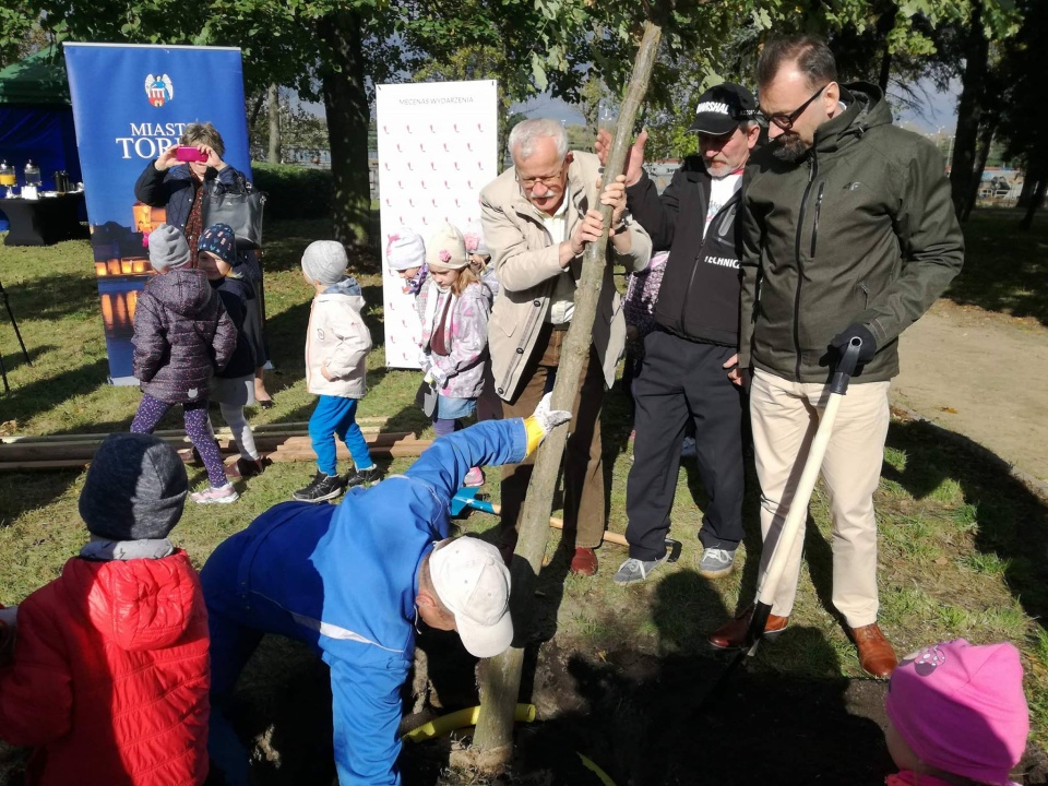 Sadzenie dębów w Toruniu z okazji Światowego Dnia Drzewa. Fot. Michał Zaręba