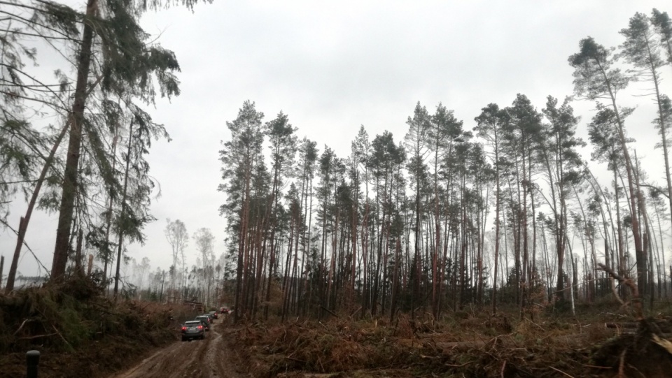Nadleśnictwo Zamrzenica było pierwszym, które odwiedzili dzisiaj leśnicy. Fot. Marcin Doliński