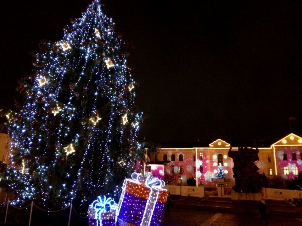 15-metrowy świerk i podświetlona fasada Urzędu Miasta w Budgoszczy, będą wprowadzać mieszkańców miasta w świąteczny nastrój. Fot. Robin Jesse