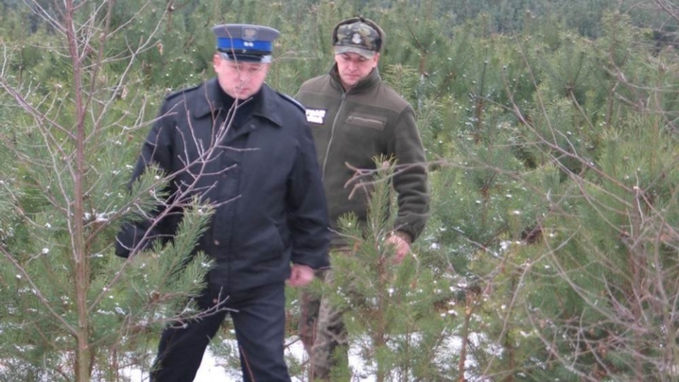 Działania koordynowane są przez leśników i prowadzone między innymi we współpracy z policją. Fot. Policja