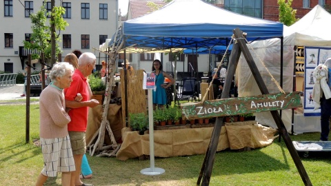 Jarmark Świętojański zakończył Święto Województwa Kujawsko-Pomorskiego. Fot. Damian Klich