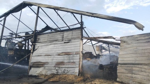 Po pożarze w Osiu. Z hali na terenie tartaku zostały zgliszcza