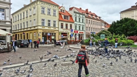 Nowe kioski pojawią się na ulicach Bydgoszczy. Mają być ładne i nowoczesne