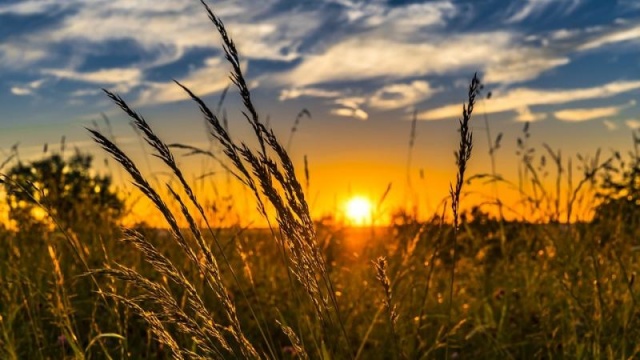 Instytut Meteorologii ostrzega przed upałami w prawie całej Polsce