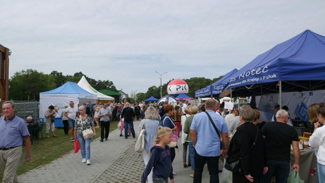 Kulinaria, koncerty i sprzęt wojskowy na pikniku w Minikowie