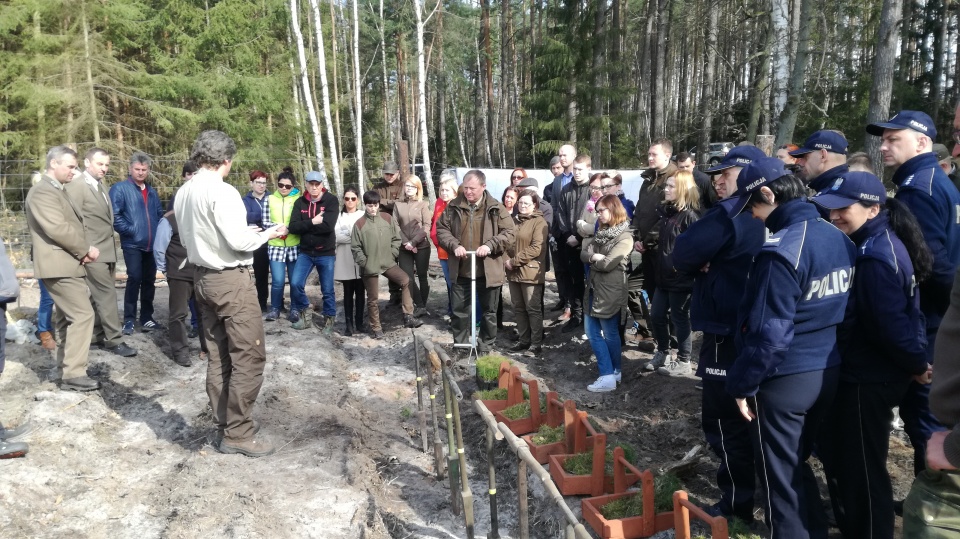 W akcji sadzenia lasu brali udział samorządowcy, służby mundurowe, nauczyciele i leśnicy. Fot. Marcin Doliński