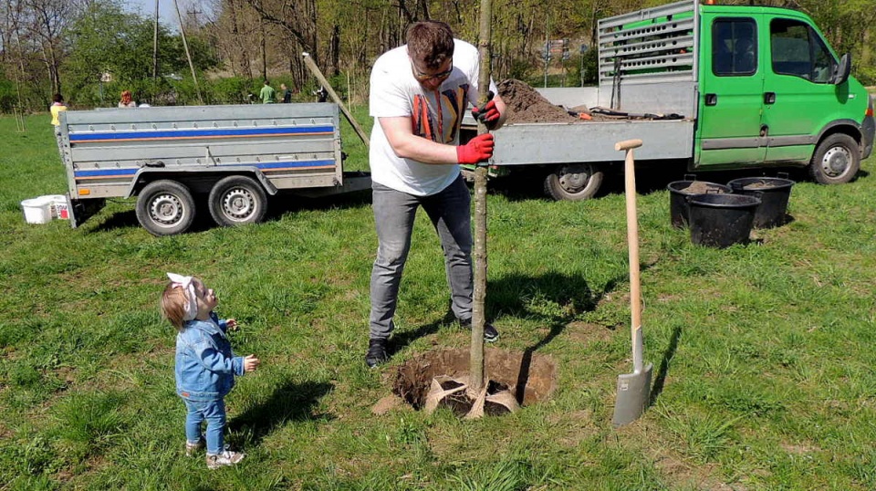 W ramach akcji "Drzewa młodej Bydgoszczy - Tu są nasze korzenie", każdy młody bydgoszczanin może w Myślęcinku zasadzić sobie drzewo. Fot. Damian Klich