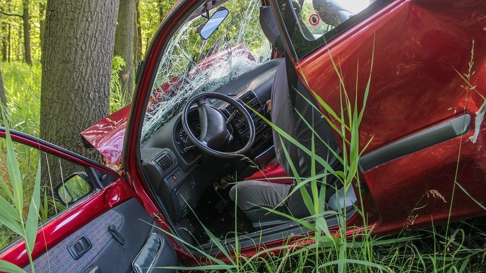 Nie żyje kierowca, którego samochód nad ranem uderzył w drzewo. Fot. Pixabay