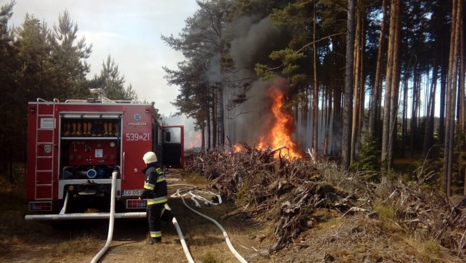 W sobotnie popołudnie we Wdeckim Parku Krajobrazowym spłonęły 4 hektary lasu. Fot. KP PSP w Świeciu nad Wisłą