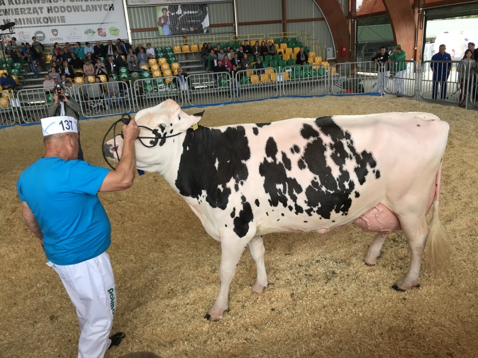 Targi Rolno-Przemysłowe AGRO-TECH w Minikowie/fot. Tomasz Kaźmierski