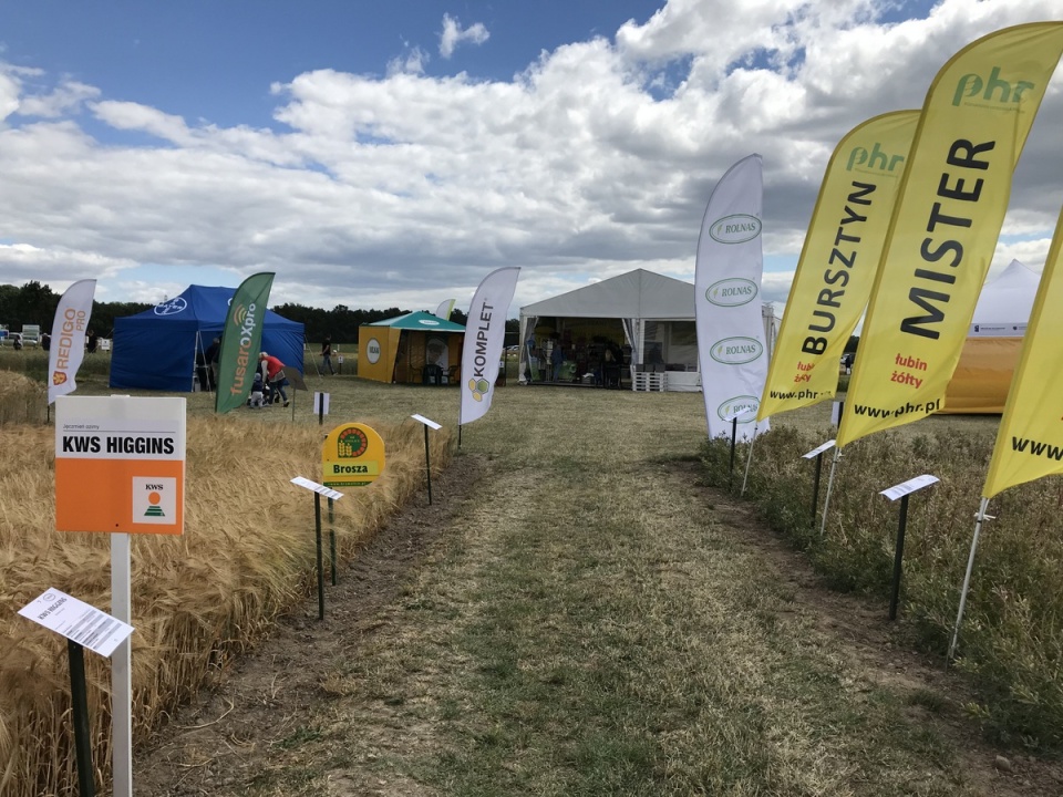 Targi Rolno-Przemysłowe AGRO-TECH w Minikowie/fot. Tomasz Kaźmierski