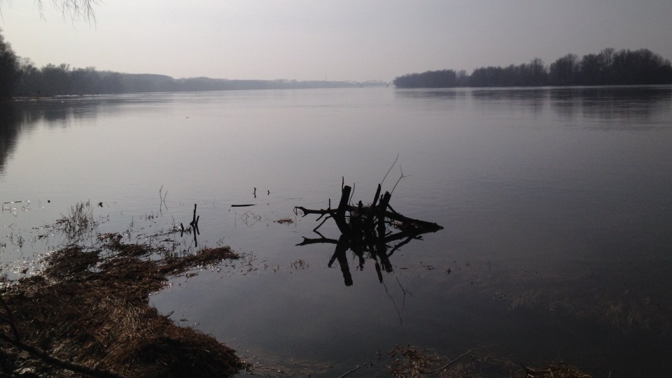 Mimo doniesień o podtopieniach na południu Polski, mieszkańcy terenów nadwiślańskich w regionie Kujaw i Pomorza mogą spać spokojnie. Fot. Archiwum