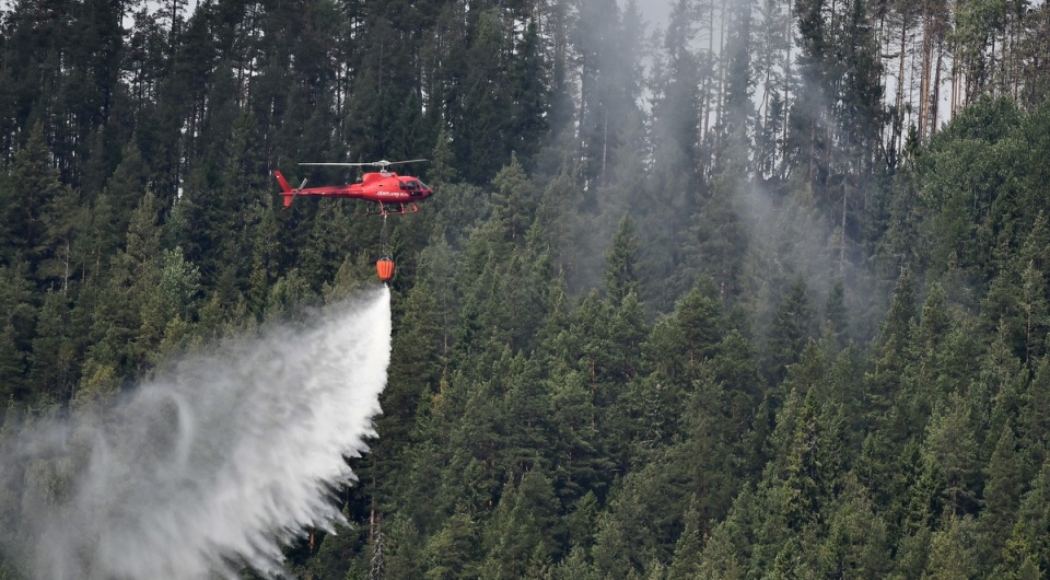 Pożary lasów w Szwecji są spowodowane nietypowymi tam wysokimi temperaturami i małą ilością opadów/fot. PAP/EPA/ROBERT HENRIKSSON