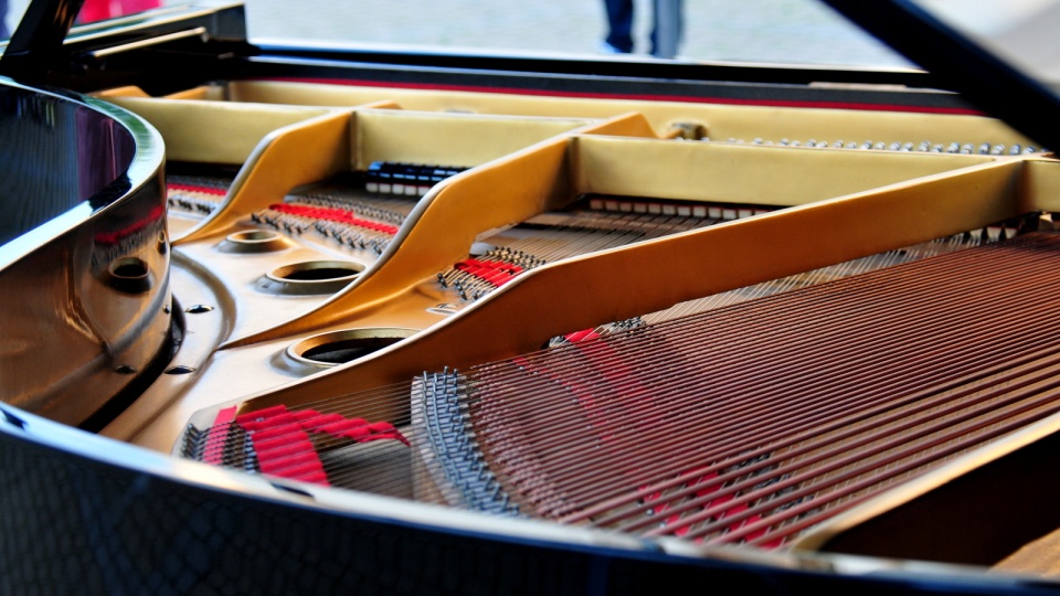 Zwieńczeniem każdego tygodnia ćwiczeń i prób będą koncerty fortepianowe z orkiestrą symfoniczną w miastach regionu kujawsko-pomorskiego. Fot. Archiwum/Ireneusz Sanger