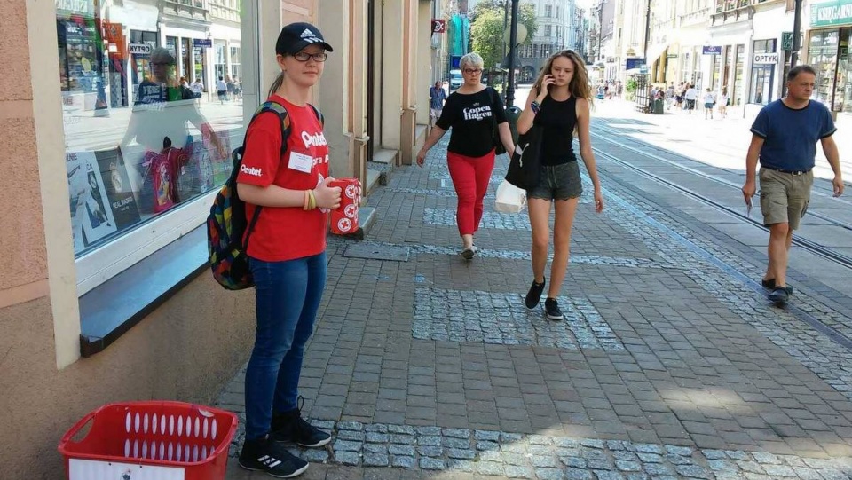 Akcja trwa w wielu miastach regionu - w Bydgoszczy wolontariuszy można spotkać m.in. przy ul. Gdańskiej/fot. Damian Klich
