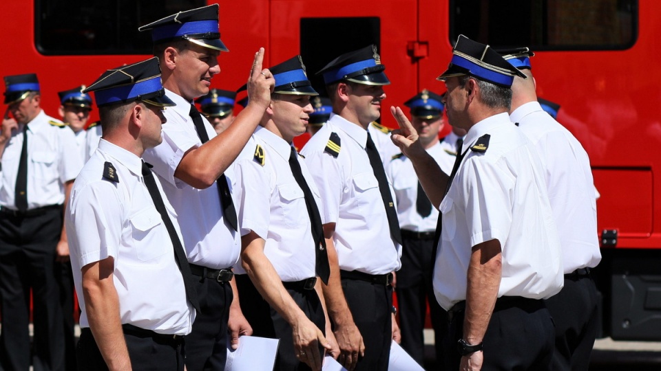 Polscy strażacy gasili w Szwecji około 6,5 tys. ha/fot. Marek Zakrzewski, PAP