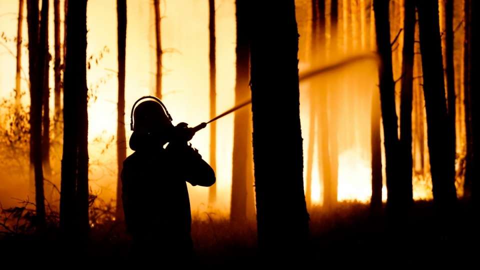 W akcji gaśniczej uczestniczy kilkaset jednostek straży pożarnej oraz helikoptery/fot. PAP/EPA/ALEXANDER BECHER
