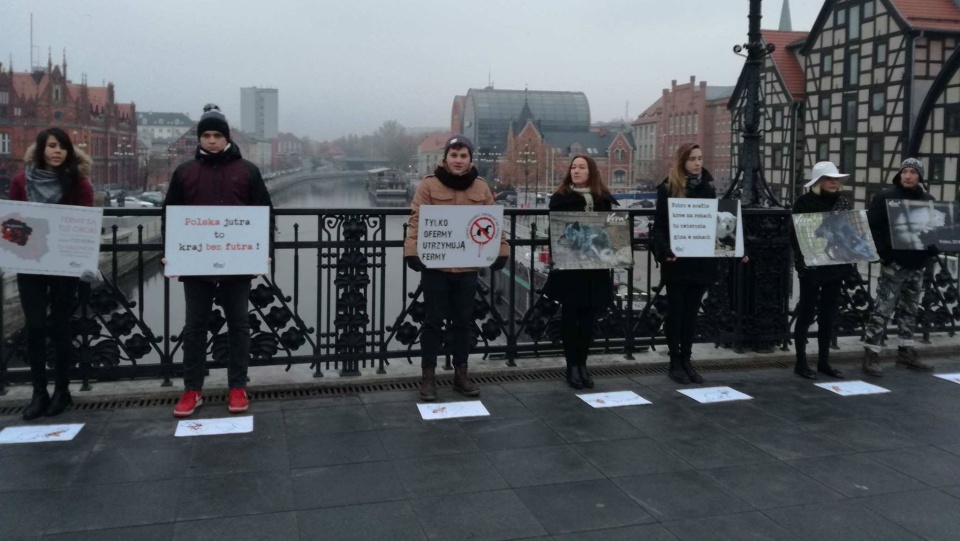 Jak podkreślają obrońcy zwierząt, na jedno futro trzeba zabić do 60 norek lub do 40 lisów. Fot. Monika Siwak-Waloszewska