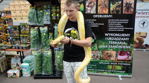 Bohaterowie Bydgoskiej Giełdy i Wystawy Zwierząt Egzotycznych./fot. Sławomir Jezierski