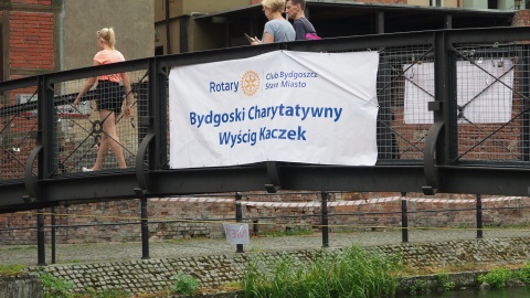 3. Bydgoski Charytatywny Wyścig Kaczek (jw)