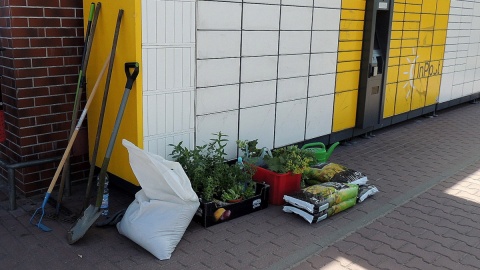 Zielony zakątek urządzono w okolicy przystanku autobusowego na skrzyżowaniu ulic Solskiego i Kossaka w Bydgoszczy. Fot. Tatiana Adonis