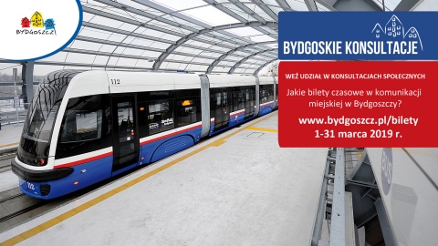 Bilet czasowy i jednorazowy czy tylko czasowy Konsultacje w Bydgoszczy